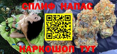 крисы Лесосибирск