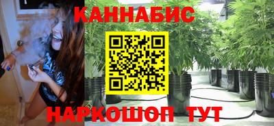 крисы Лесосибирск