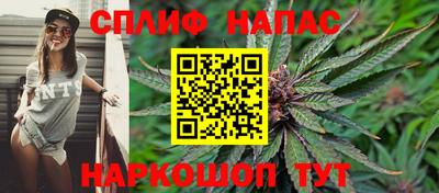 крисы Лесосибирск