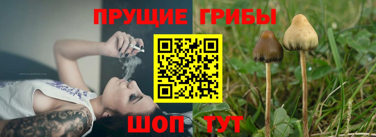купить закладку  Псилоцибиновые грибы мухоморы  Вход с VPN  Усолье-Сибирское 